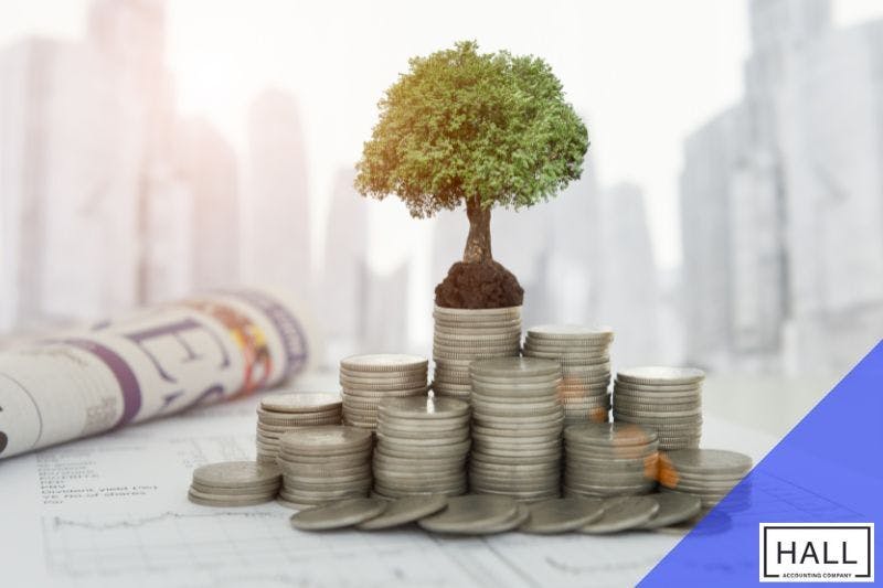 A tree with green leaves grows from a pile of silver coins, representing financial growth and investment.