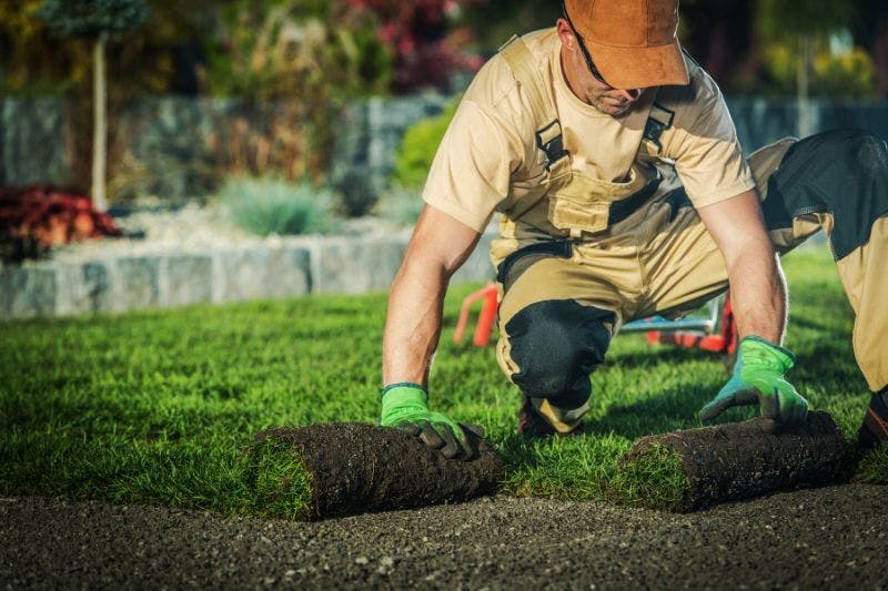 landscaping business in dallas